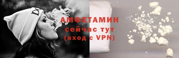 мдпв Инта